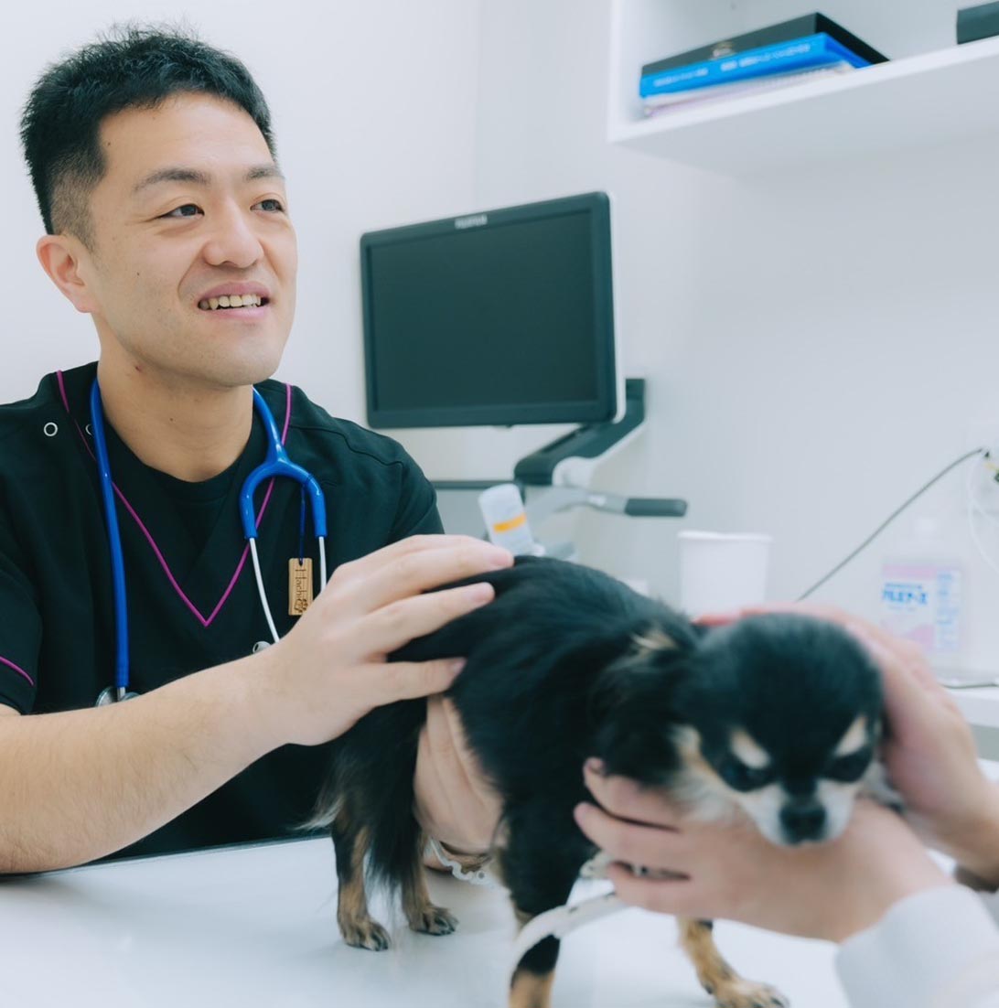 診察台の上で犬を診察する院長先生の写真
