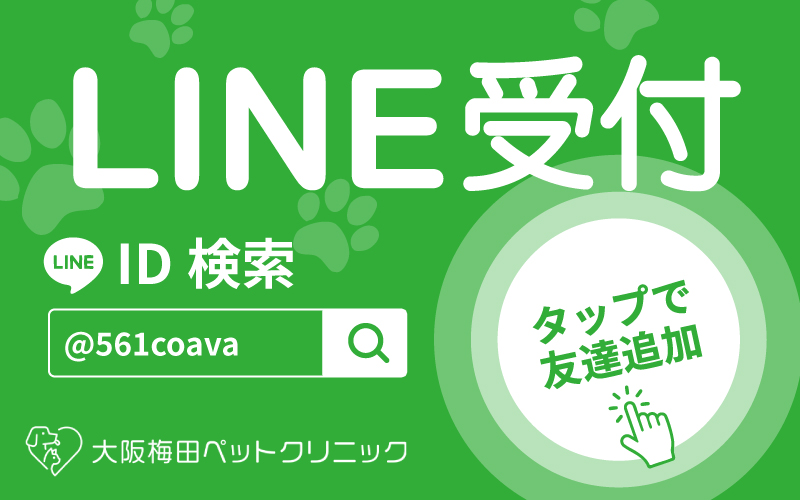LINE登録はこちら
